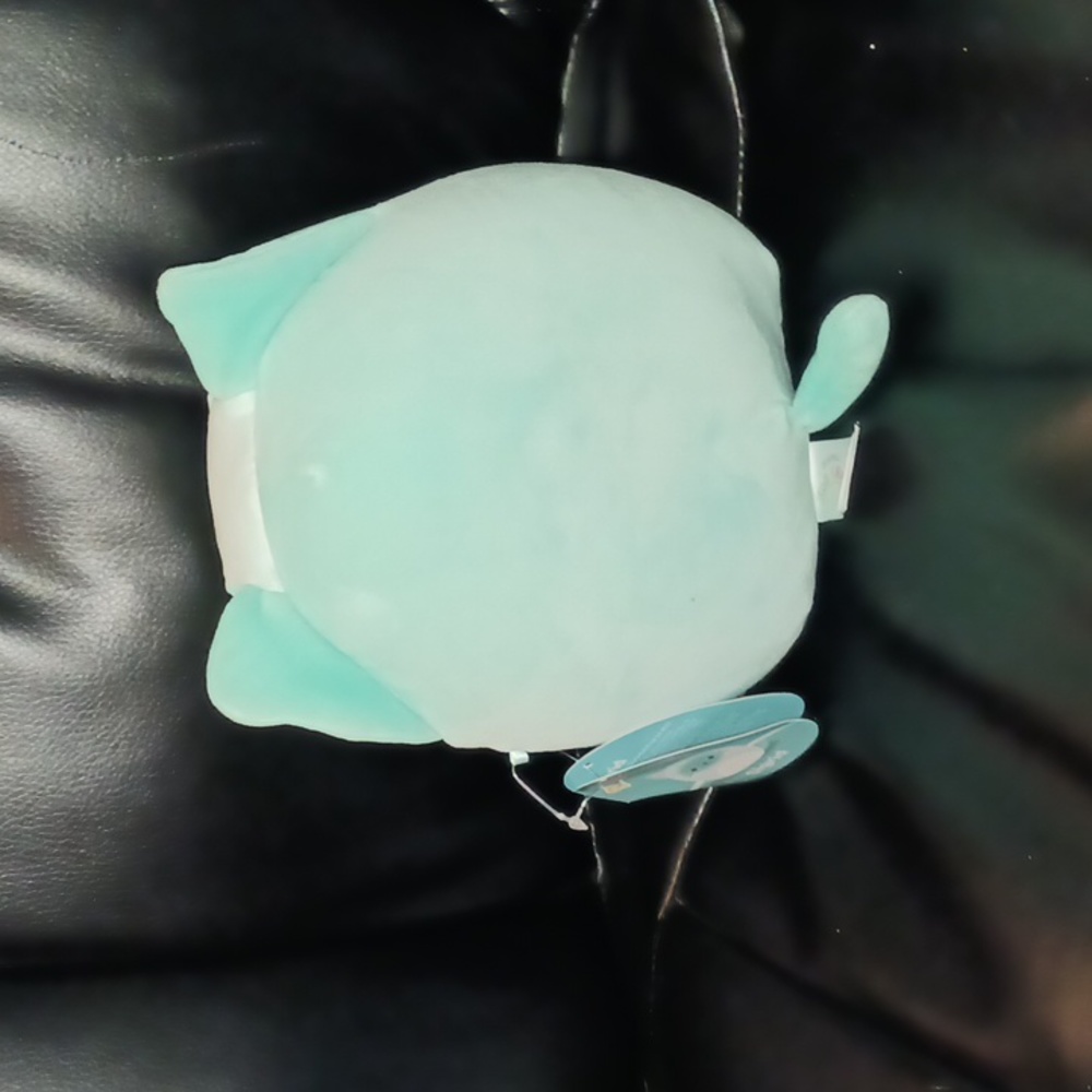 Sigrid the cat squishmallow - Picture 3 of 4